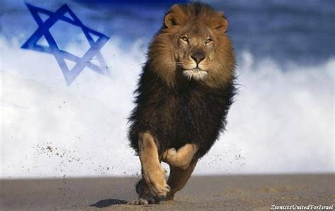 Pin By Sue Melancon On Jesus Is King Of Kings Lion Of Judah Jesus
