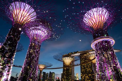 Images Singapore Gardens By The Bay Nature Night Time Street Lights