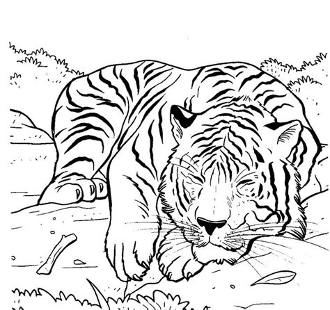 We did not find results for: Tiger Sleeping | Lions And Tigers | Pinterest