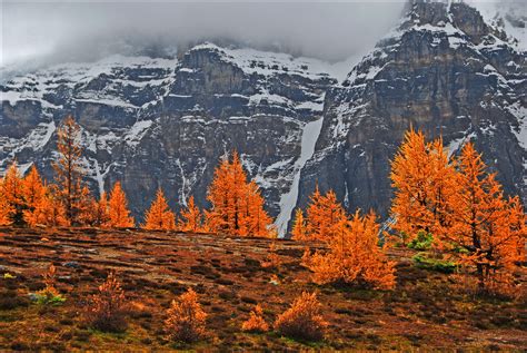 Larch Valley Banff National Park Alberta Canada