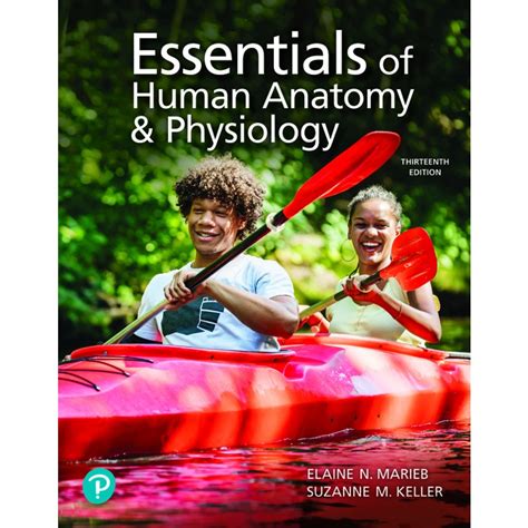 Essentials Of Human Anatomy And Physiology 13th Edition Elaine N