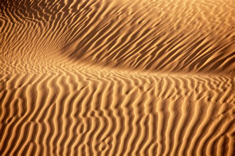 Desert Sand Pattern Rosa Frei Photography