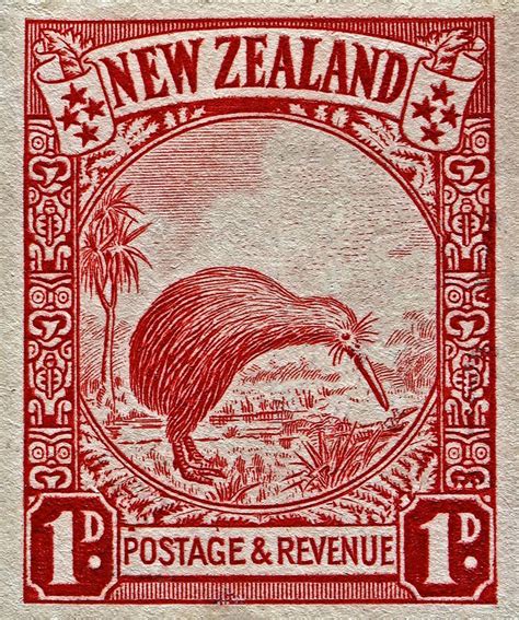1936 New Zealand Kiwi Stamp By Bill Owen In 2019 Stamps From Around