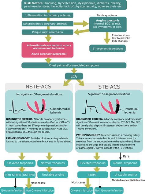 Nstemi Non St Elevation Myocardial Infarction Unstable Angina