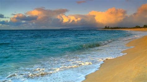 44 Free Wallpaper Hawaii Beach Scenes On Wallpapersafari