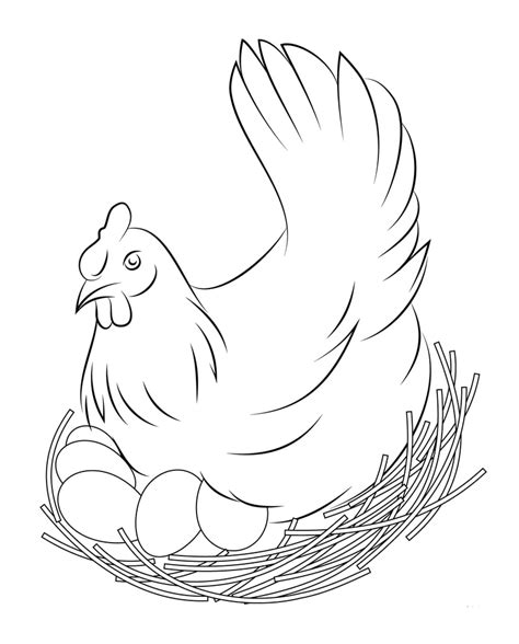 Siapa yang pernah melihat ayam? Mewarnai Gambar Ayam Bertelur • BELAJARMEWARNAI.info