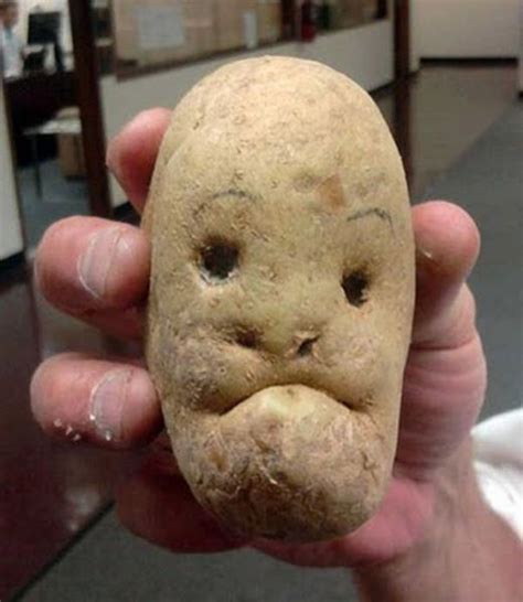 Potato Face 21 Pics