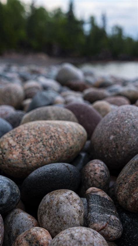 Closeup View Of Shore Stones Pebbles Blur Trees River Background 4k Hd