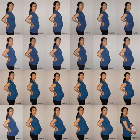 La crescita del feto durante le settimane del settimo mese è piuttosto decisa e cruciale. Come cresce la pancia in gravidanza mese per mese | Pourfemme