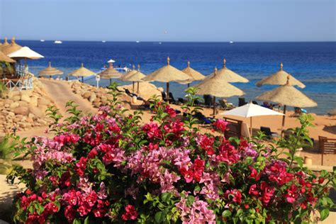 Wetter In Hurghada Die Beste Reisezeit Für Einen Urlaub Am Roten Meer
