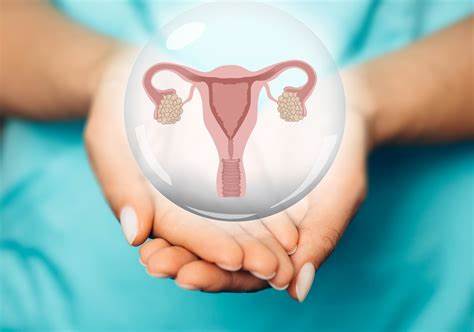 Диета киста яичника ARIEL3 STUDIE: POSITIEVE PFS BIJ RECIDIEF OVARIUMCARCINOOM - NTVO ARIEL3 STUDIE: POSITIEVE PFS BIJ RECIDIEF OVARIUMCARCINOOM - NTVO Диета киста яичника