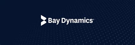 Bay Dynamics Company Culture Comparably