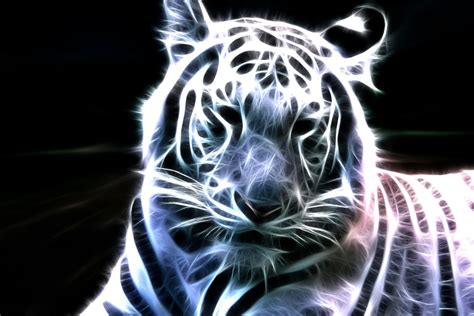 We offer an extraordinary number of hd images that will instantly freshen up your smartphone or computer. 48+ Neon Animal Wallpapers on WallpaperSafari