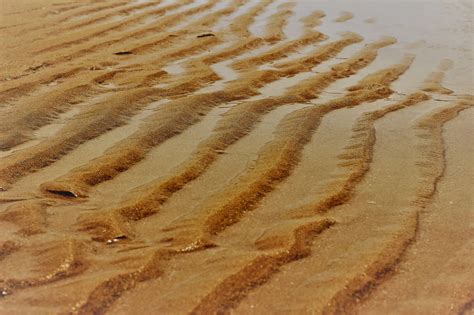Ripples In Sand On A Beach Free Stock Photo Public Domain Pictures