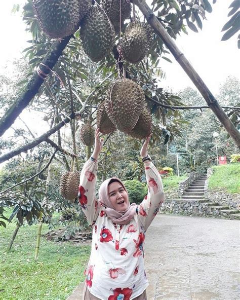 Cari tiket masuk destinasi objek wisata favorit harga murah hanya di tiket.com 24 Tempat wisata di Bogor yang paling kekinian dan ...