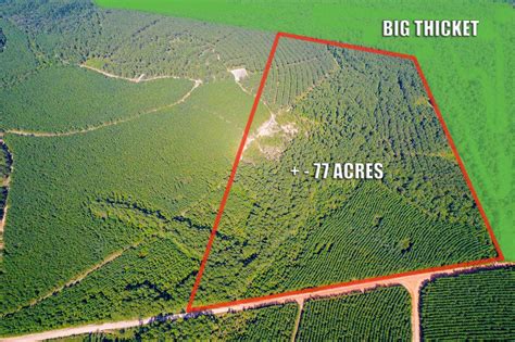 77 acres in Polk County, Texas