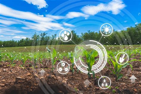 Agricultural Technology How The Industry Is Changing Paragon Bank