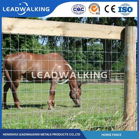 Leadwalking Diamond Mesh Wire Fence Odm Custom Horse Riding Academy