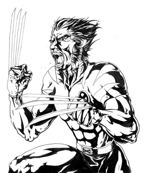 Wolverine Lineart By Alayna On Deviantart