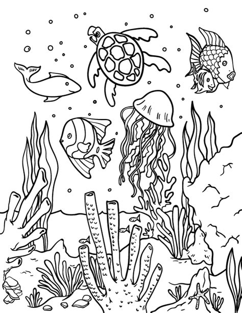 Sea Animals Coloring Pages To Print Animal Big