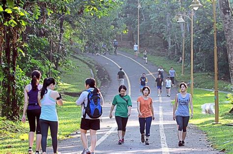 Bukit kiara has often been described as one of the last remaining 'green lungs' of kuala lumpur. 5 Running Routes in Malaysia You Should Not Miss | Just ...