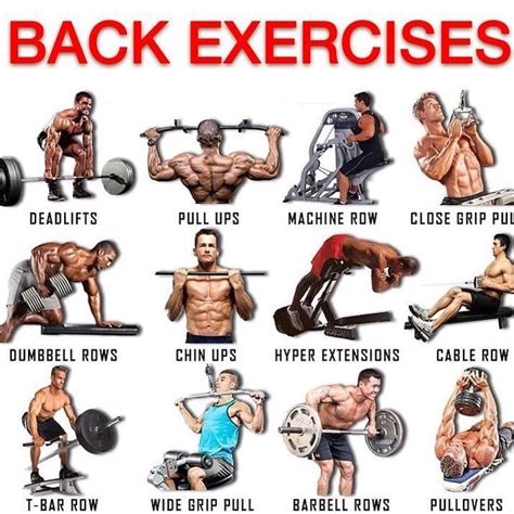 Best Back Exercises Reasons Why You Should Workout Your Back Strong Lats Give Your