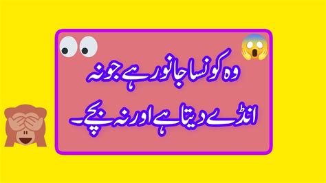 Urdu Paheli And Paheliyan With Answers Iq Puzzles And Tricky Riddles