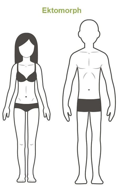 Stoffwechseltypen Figur und Körpertypen Welche Typen es gibt Stoffwechsel Gesund zunehmen