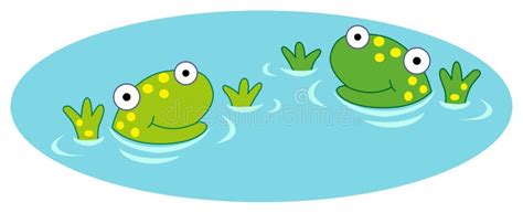 Frogs In Water Stock Vector Illustration Of Vector Amphibian 57656402