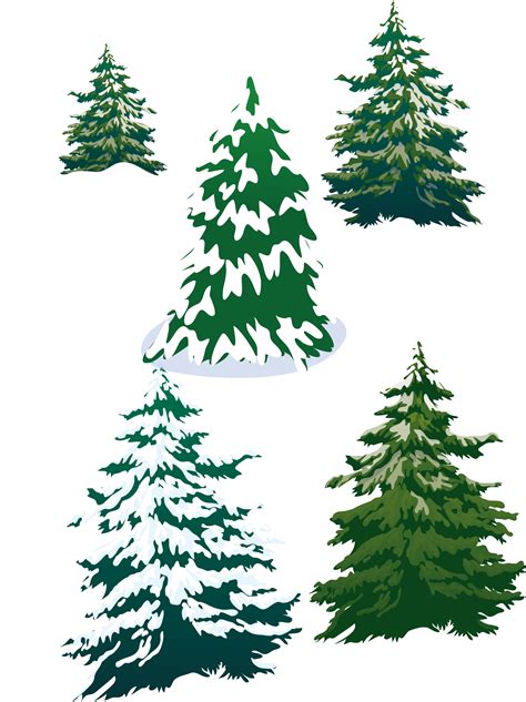 Vector Snowy Pine Trees Png Download 25583420 Free Transparent Fir