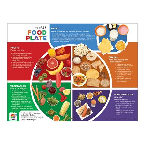 Us Food Plate Poster Visualz