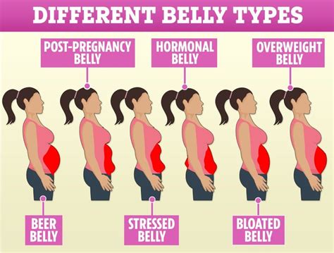 pregnant belly vs fat belly pregnantsb
