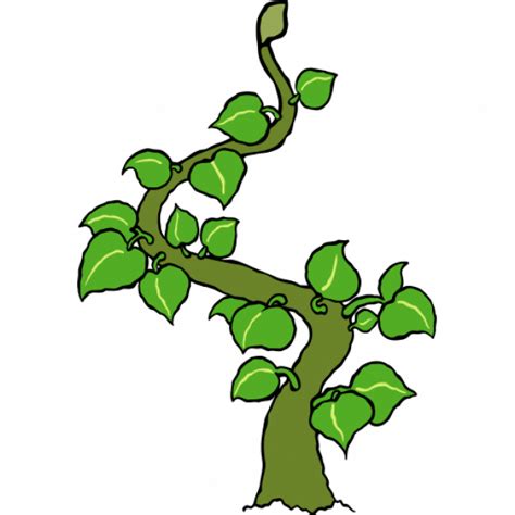 Beanstalk Clip Art Clipart Best