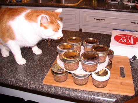 An Orange And White Cat Sitting On Top Of A Counter Next To Jars Filled