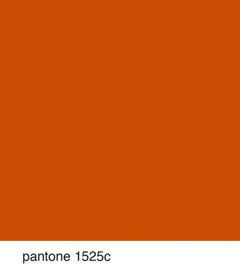 Orange Painted Furniture Orange Paint Colors Room Color Combination
