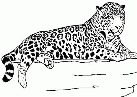Cheetah Printable