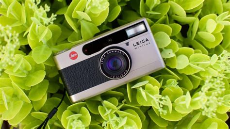 5 Best Point And Shoot Film Cameras Part 2 Casual Photophile