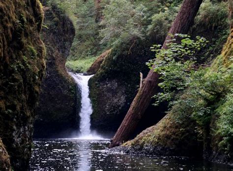 The Best Hiking In Portland Hiking Spots Fall Hiking Trails Oregon