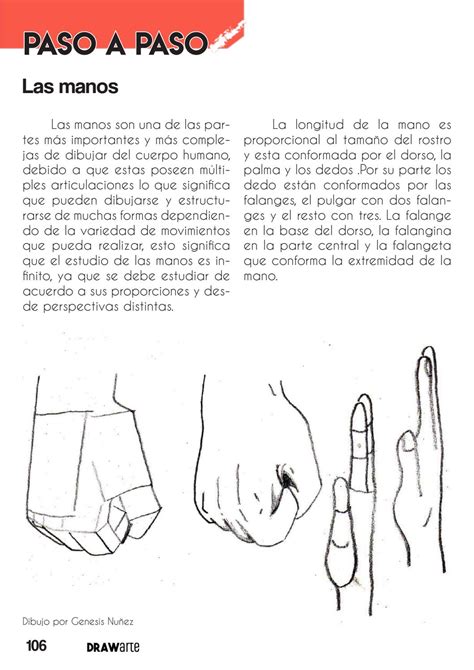 Guía Practica Ilustrada De Técnicas De Dibuo A Mano Alzada By Mobile