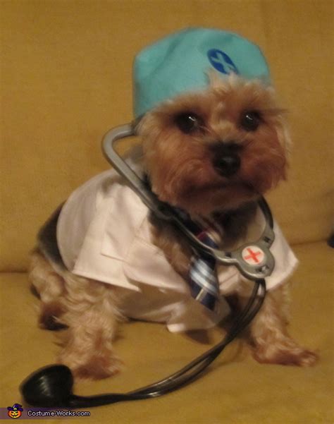 Doctor Dog Costume