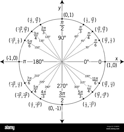 El círculo está marcado y etiquetado tanto en radianes como en grados