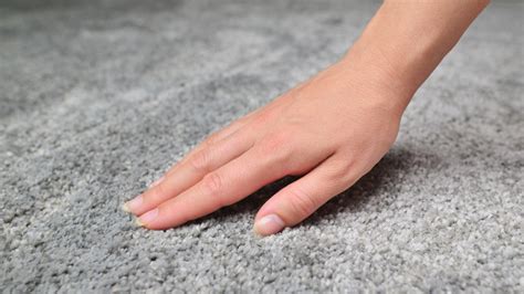 Should You Add A Low Pile Carpet To Your Home
