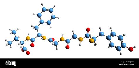 3d Imagen De Leu Enkephalin Fórmula Esquelética Estructura Química Molecular Del