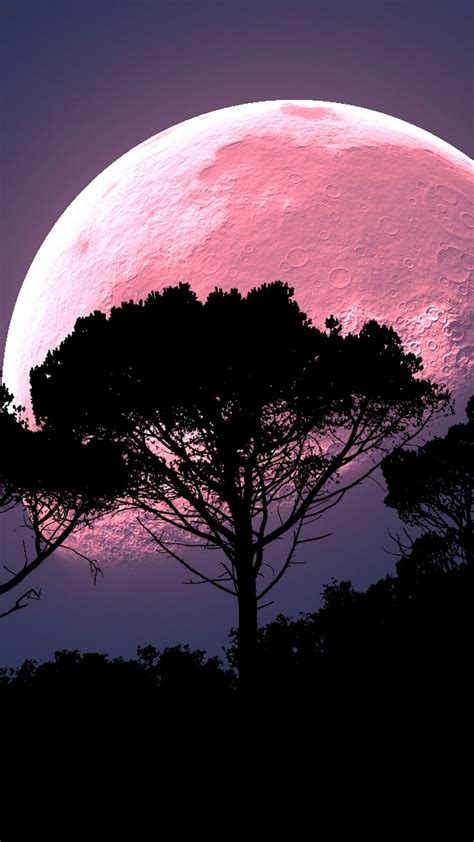 10 Top Moon Background Wallpaper Aesthetic You Can Use It For Free