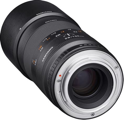 The Best Macro Lens for Fujifilm: Ultimate Guide (in 2020)