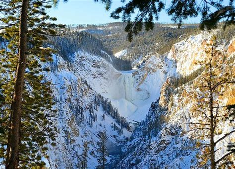 Frozen Waterfall At Yellowstone Park Stanley Zimny Thank You For 57
