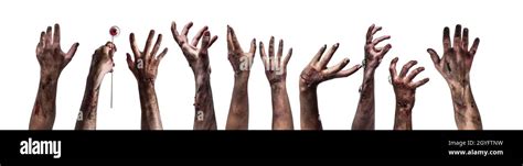 Many Hands Of Scary Zombies On White Background Stock Photo Alamy