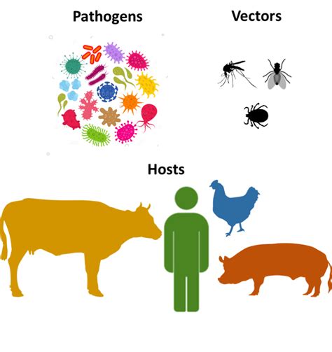Vector Borne Infectious Disease Management From A One Health