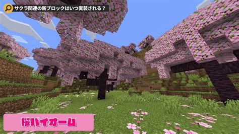 【マイクラ120】桜バイオームで入手できる新ブロック一覧！入手方法や使い道について解説‼︎【java版・統合版のアプデ情報】 Locaの