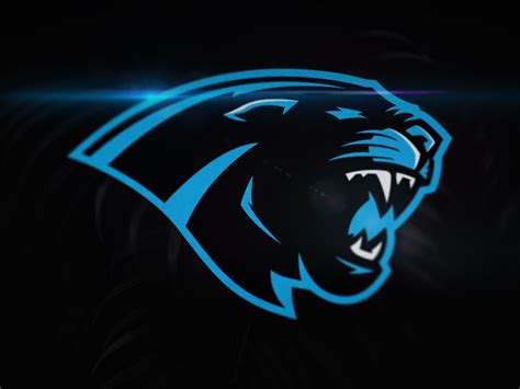 Carolina Panthers Rebrand Concept By Brandon Williams On Dribbble
